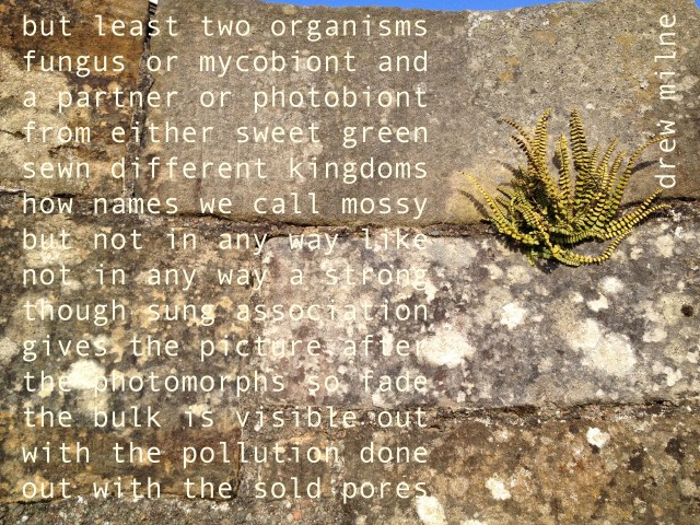 Digital post card from Infinite Editions (2013)