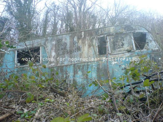 10247468_1559354024326431_7931925907779767180_n