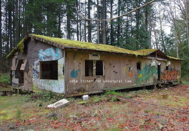 11000660_1558932647701902_5793726261504154841_n