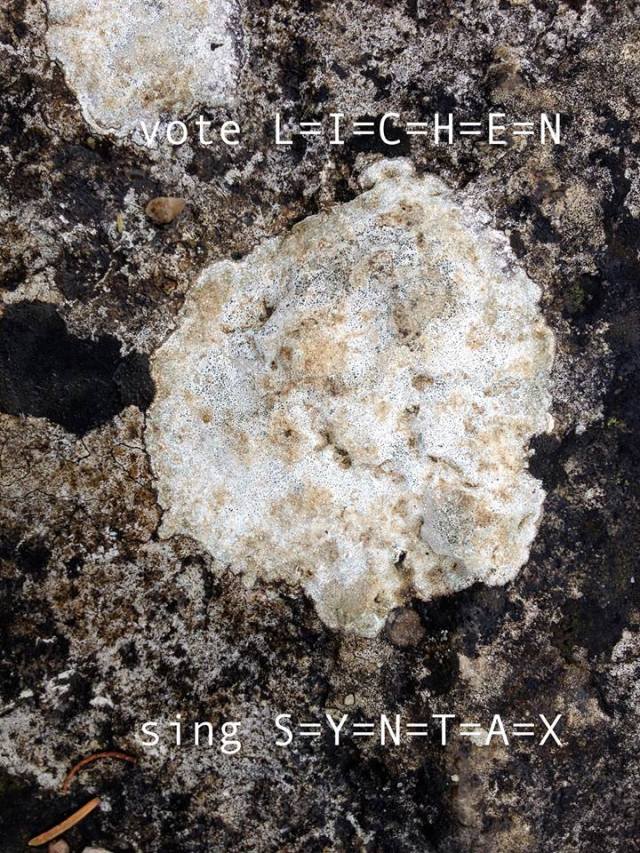 11054276_1569196530008847_5246669140347555190_n