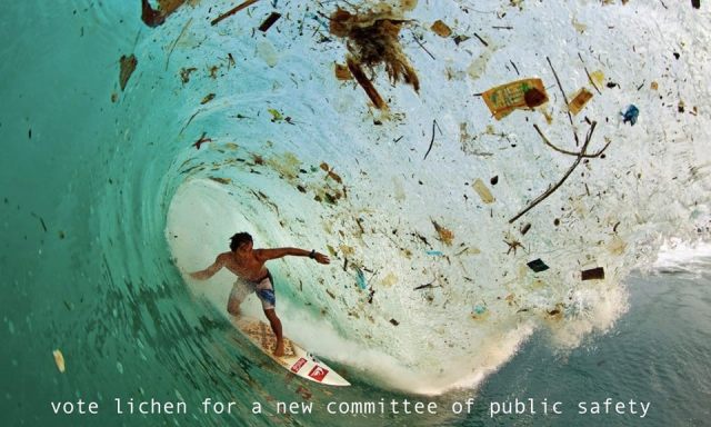 11119507_1572399249688575_7823526518167364846_n