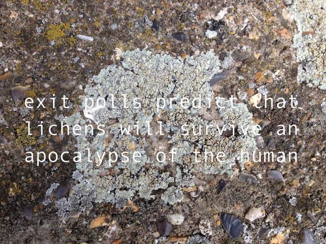 11203713_1581305652131268_2360437575676573126_n