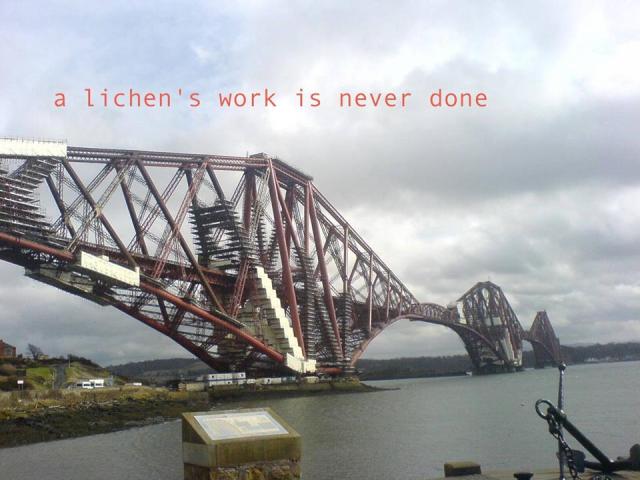 11535836_1599326800329153_7546053218307461705_n