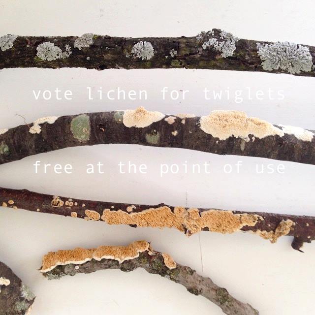 1619436_1566241376971029_4752027423518384463_n