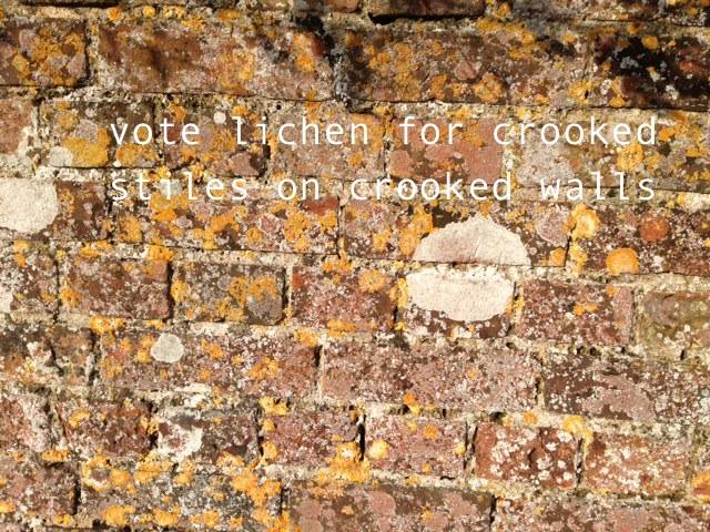 553266_1566628590265641_2380189291901229795_n