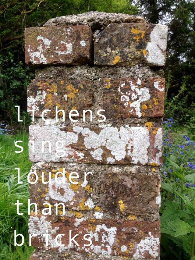BricksLichens